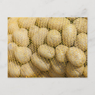 Aardappelen Briefkaart