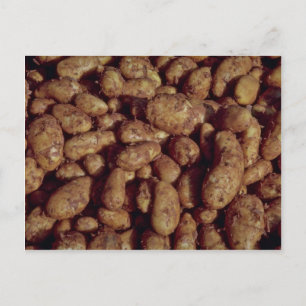 Aardappelen Briefkaart