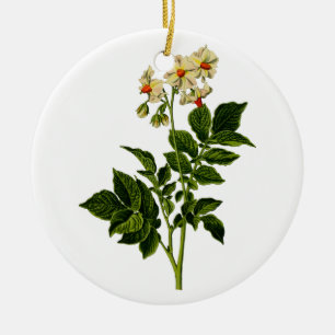 Aardappelplant Keramisch Ornament