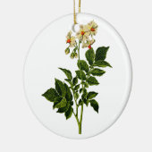 Aardappelplant Keramisch Ornament (Links)