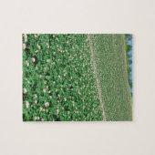 Aardappelveld 3 legpuzzel (Horizontaal)