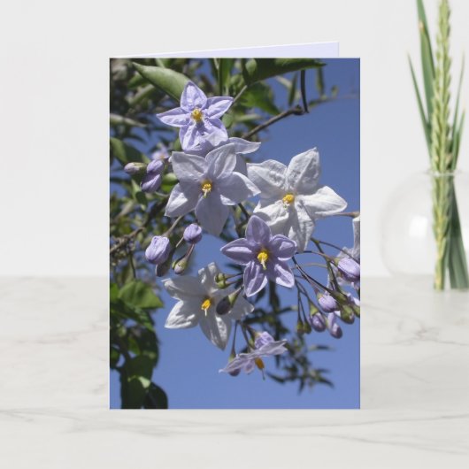 aardappelwijn kaart (Voorkant)