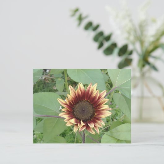 Aardbei Blonde Zonnebloem Briefkaart (Staand voorkant)