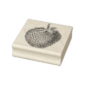 aardbei botanisch rubberstempel (Stempel)