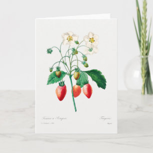 Aardbei botanische print kaart