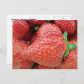 Aardbei Briefkaart (Voorkant / Achterkant)