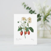 Aardbei Briefkaart (Staand voorkant)