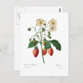 Aardbei Briefkaart (Voorkant / Achterkant)