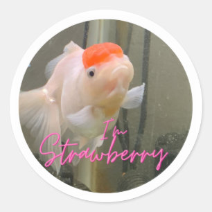 Aardbei De Sticker Goldfish