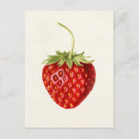 Aardbei (Fragaria) Waterverf van fruit