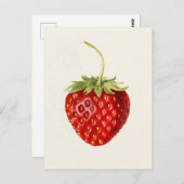 Aardbei (Fragaria) Waterverf van fruit Briefkaart (Voorkant / Achterkant)