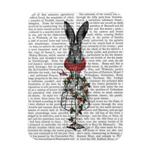 Aardbei Hare Magneet