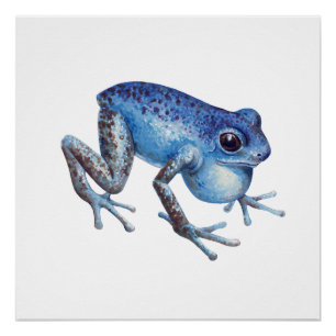 Aardbei Poison dart frog Perfect Poster