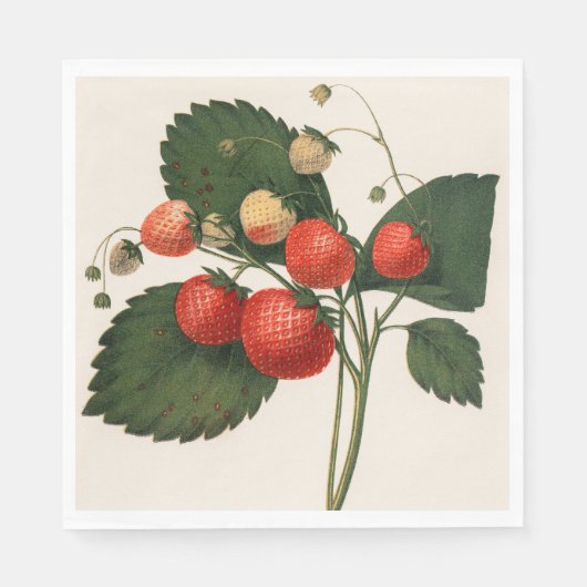  aardbei servet (Voorkant)