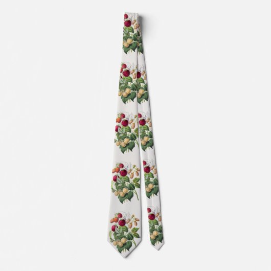  aardbei stropdas (Voorkant)