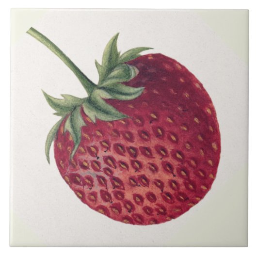 aardbei tegeltje (Voorkant)