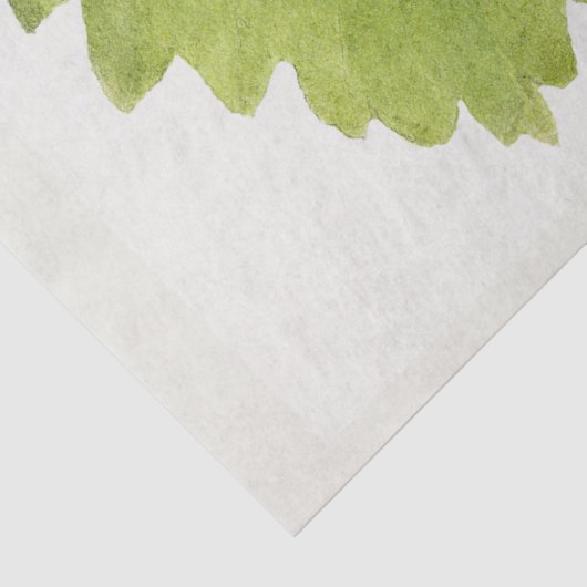 aardbei tissuepapier (Detail)