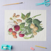 aardbei tissuepapier (Craft)