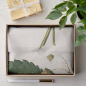  aardbei tissuepapier (Geschenk)