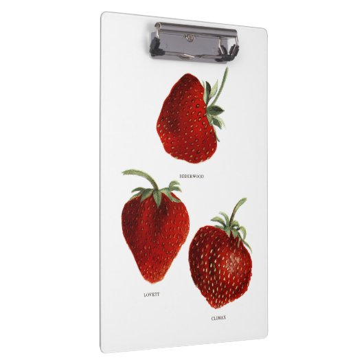 aardbei Trio Klembord (Rechts)