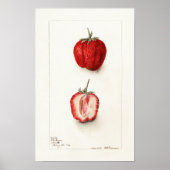 Aardbei  waterverf poster (Voorkant)