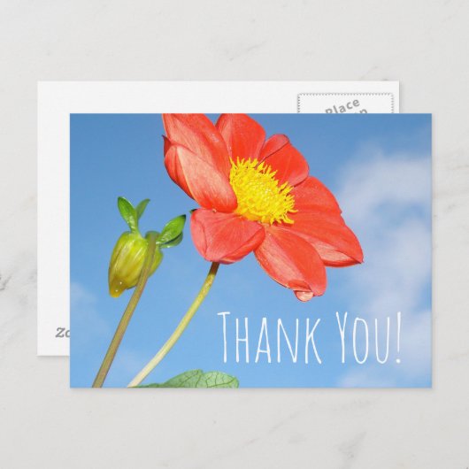 Aardbeibloesem Dank je wel Briefkaart (Voorkant / Achterkant)