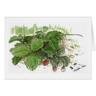 Aardbeien