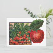 aardbeien, aardbeibessen op een Boerderij (Staand voorkant)