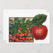 aardbeien, aardbeibessen op een Boerderij (Voorkant / Achterkant)