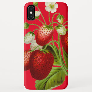  aardbeien Botanische illustratie iPhone XS Max Hoesje