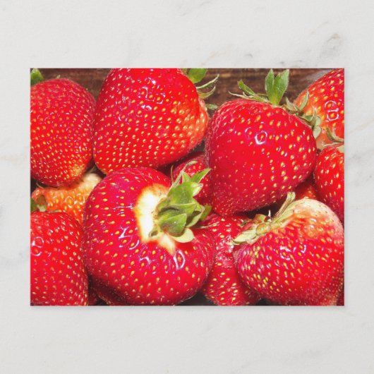Aardbeien Briefkaart (Voorkant)