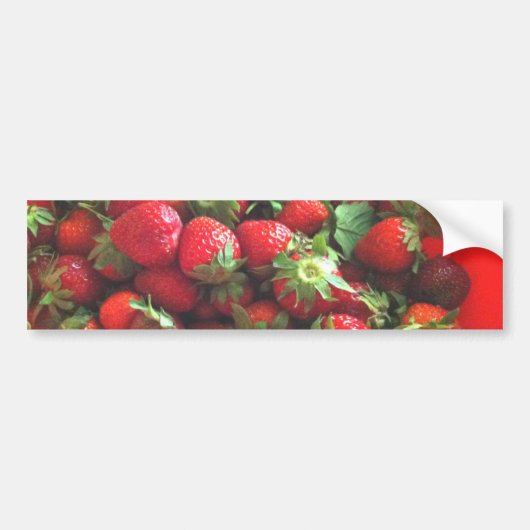 Aardbeien Bumpersticker (Voorkant)
