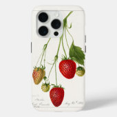  aardbeien Case-Mate iPhone case (Achterkant)