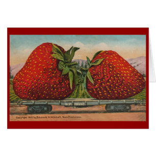 Aardbeien Giant Antiek Fruit