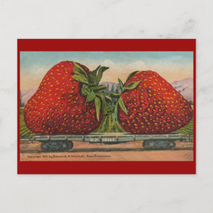 Aardbeien Giant Antiek Fruit Briefkaart