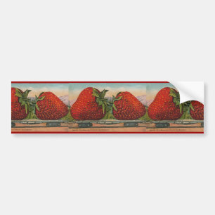 Aardbeien Giant Antiek Fruit Bumpersticker
