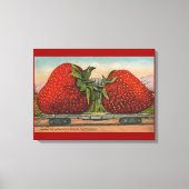 Aardbeien Giant Antiek Fruit Canvas Afdruk (Voorkant)