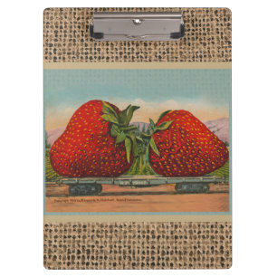 Aardbeien Giant Antiek Fruit Klembord