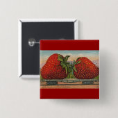 Aardbeien Giant Antiek Fruit Vierkante Button 5,1 Cm (Voorkant /achterkant)