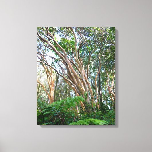 Aardbeien Guava Trees Canvas Afdruk (Voorkant)