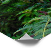 Aardbeien Guava Trees Poster (Hoek)