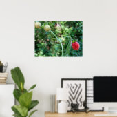 Aardbeien in juni poster (Thuiskantoor)