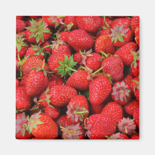 Aardbeien Magneet