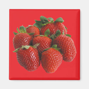 Aardbeien Magneet
