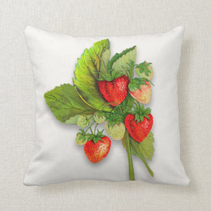 Aardbeien, realistische botanische tekening kussen