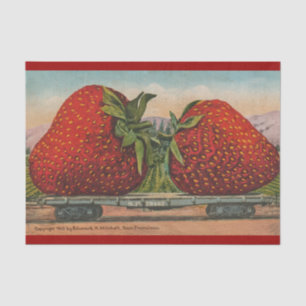 Aardbeien Reus Antieke Fruit Pret Tissuepapier