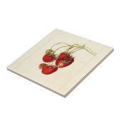 aardbeien Tekening Kunst Tegeltje (Zijkant)