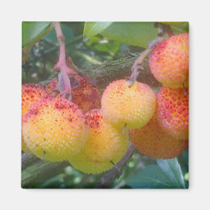 Aardbeienboomgaard Magneet