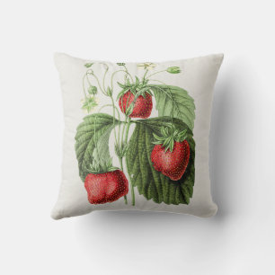 aardbeienillustratie kussen