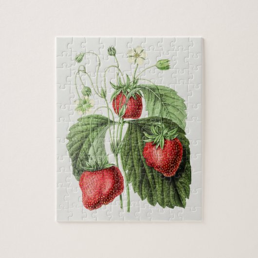 aardbeienillustratie legpuzzel (Verticaal)